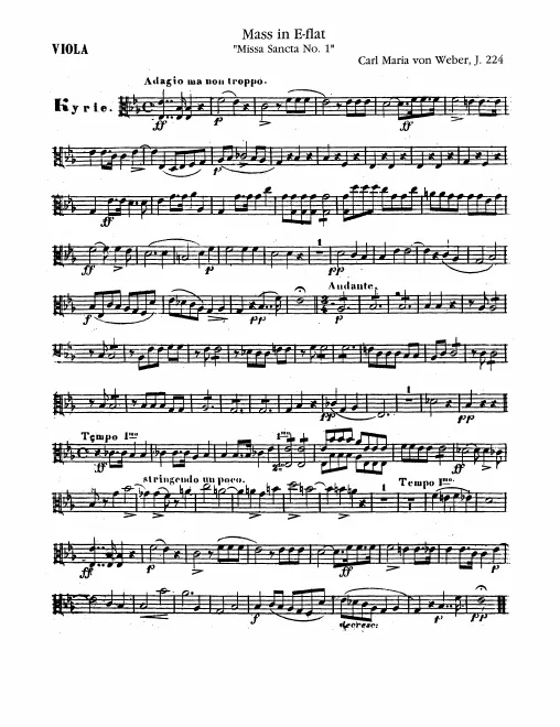 Violas