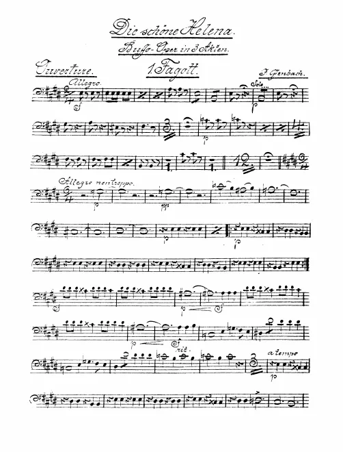 Bassoon 1