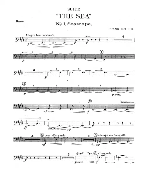 Basses