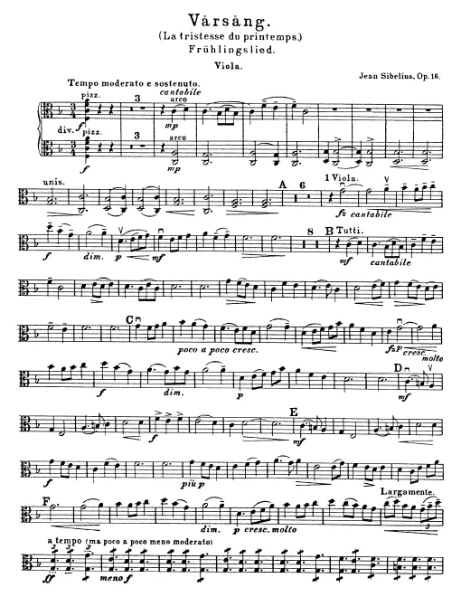 Violas, Cellos, Basses