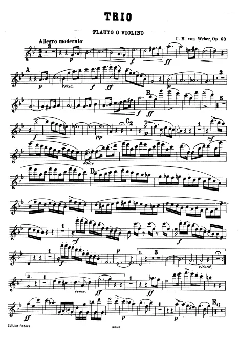 Flute (or Violin)