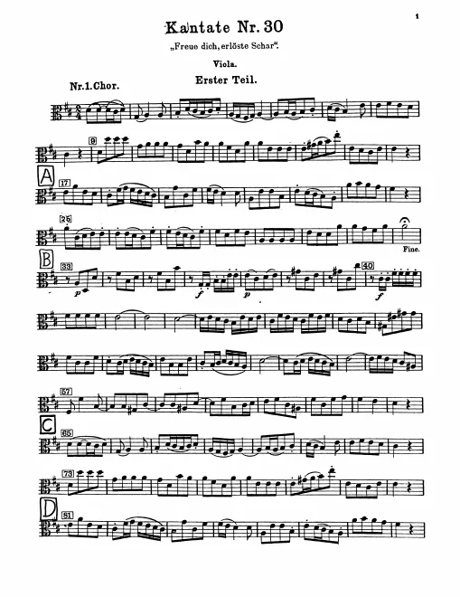 Viola