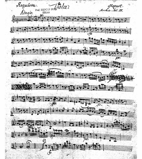 Violas