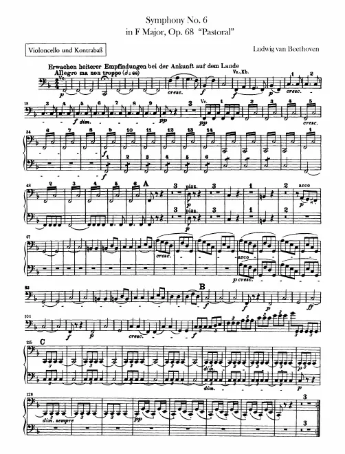 Cellos/Basses