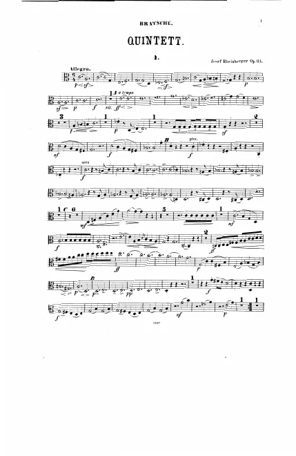 Viola