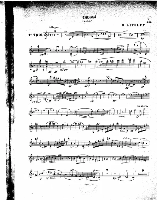 Violin