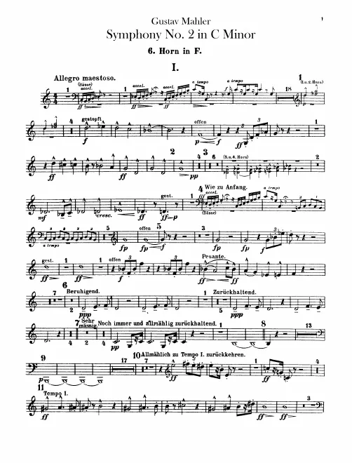 Horn 6 (F)