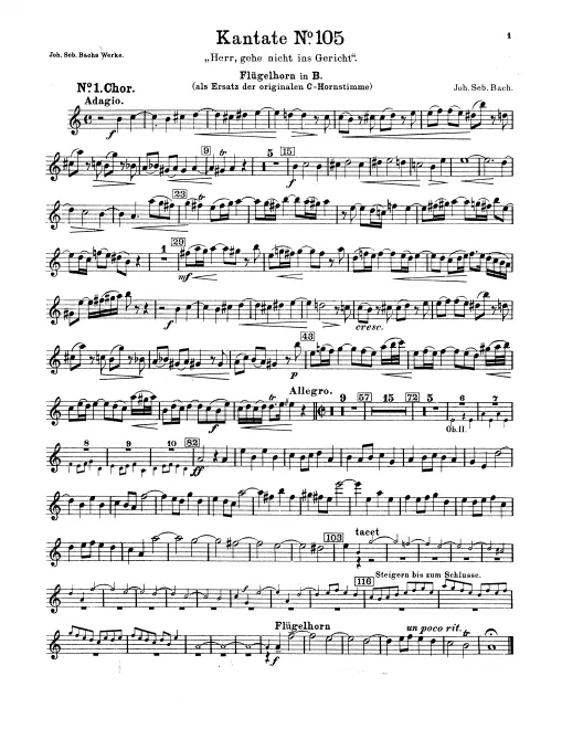 Flugelhorn (B♭)