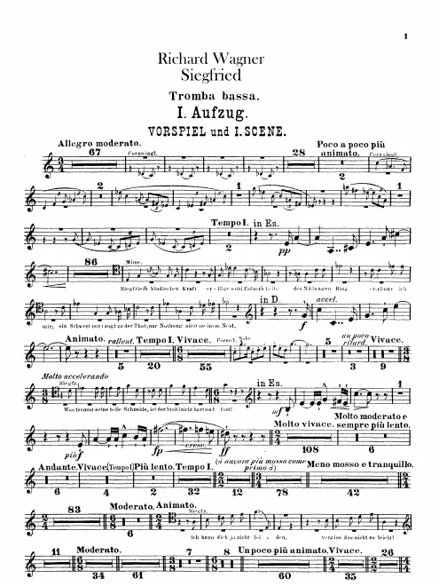 Bass Trumpet (C/D/E♭)