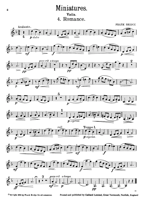 Violin