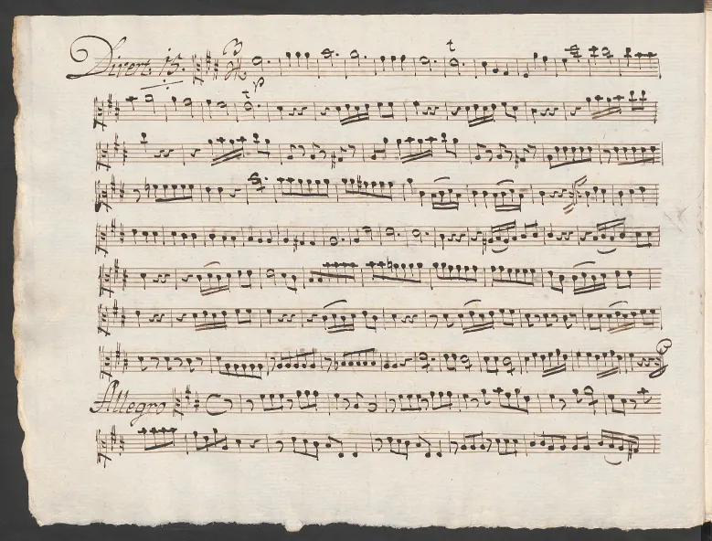 Viola