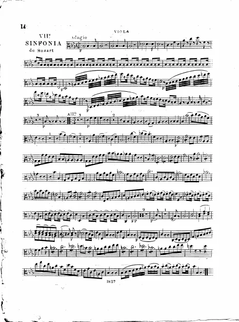 Violas