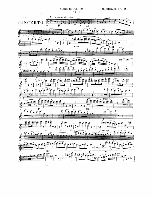 Flute