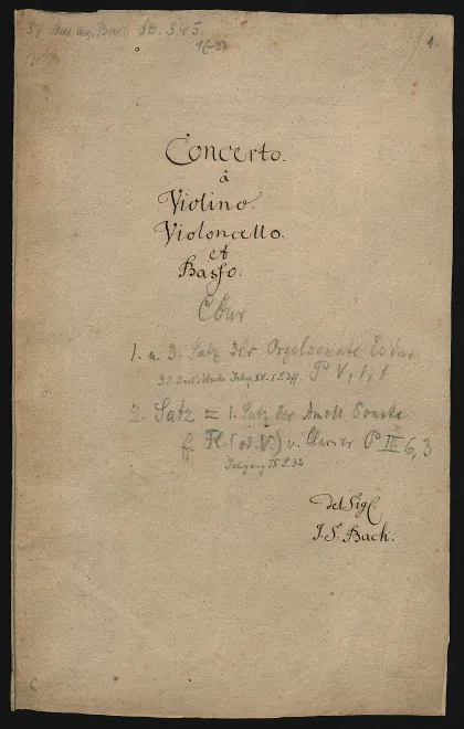 Violin