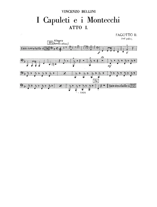 Bassoon 2