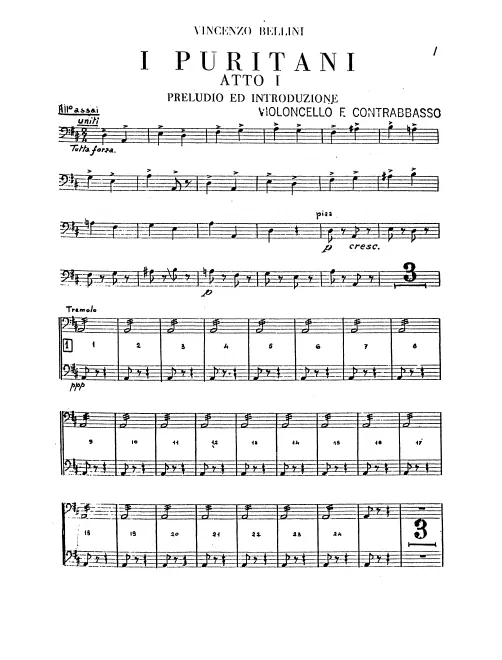 Cellos/Basses