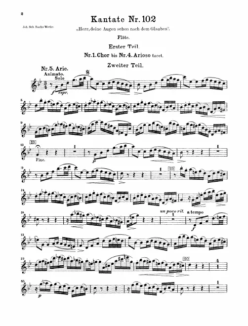 Flute