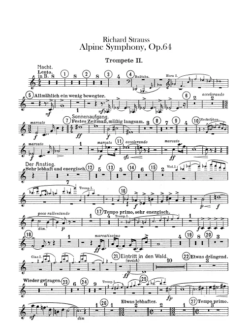 Trumpet 2 (B♭/E/C, Onstage)