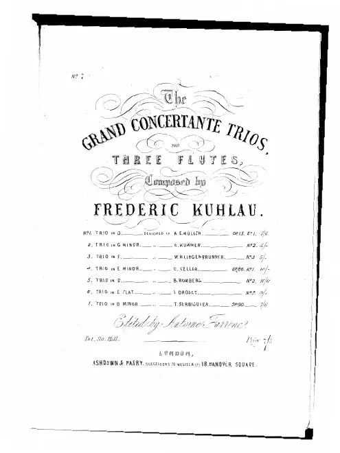 Flute 1