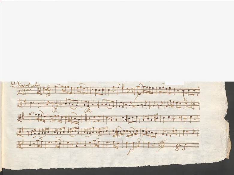 Viola