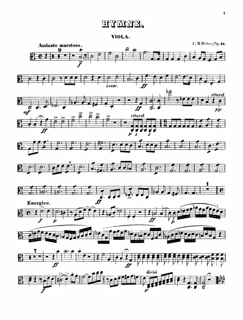 Violas