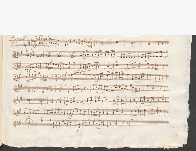 Viola