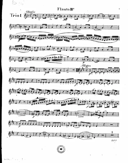 Flute 3