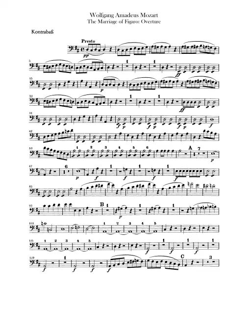 Basses