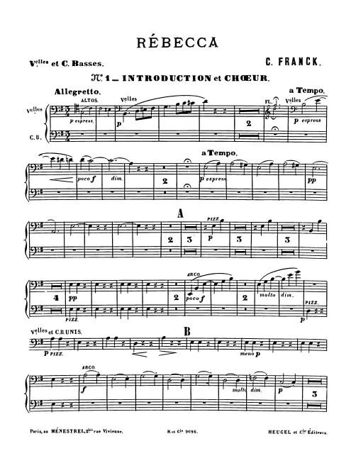 Cellos/Double Basses
