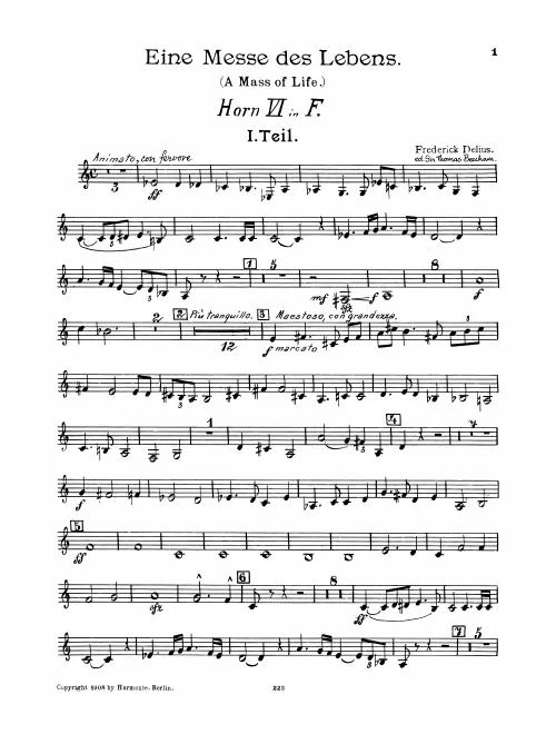 Horn 6 (F/E)