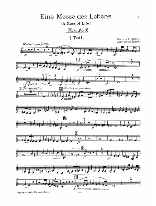 Horn 2 (F/E/E)