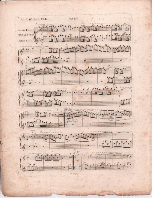 Flute/Piccolo