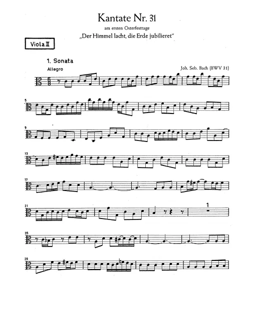 Violas II