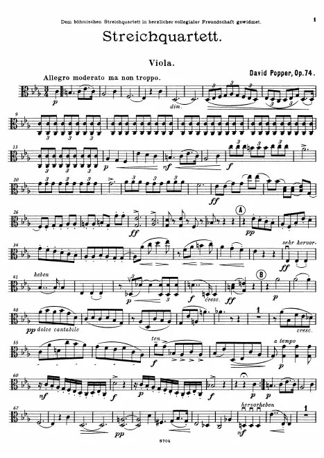 Viola