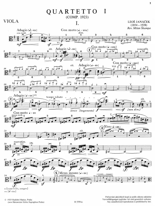 Viola
