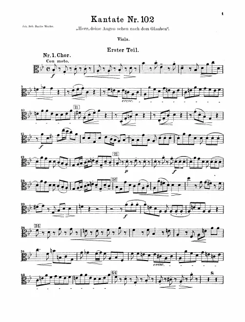 Violas