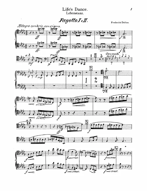 Bassoon 1/2, 3, Contrabassoon