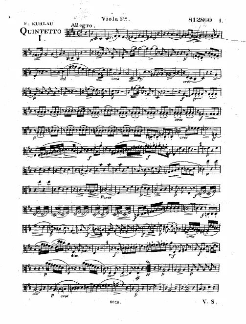 Viola 2