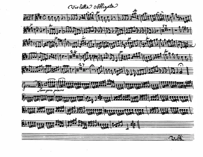 Violas