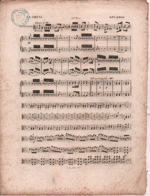 Violas