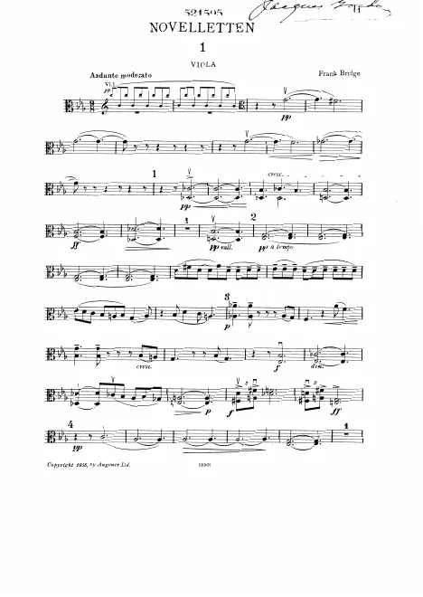 Viola