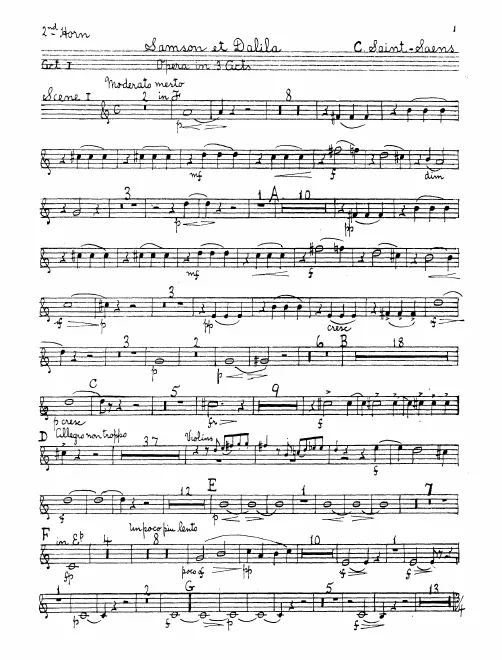 Horn 2 (F/E♭/D♭/D/B)