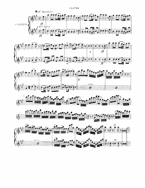 Flute 1/2/Piccolo