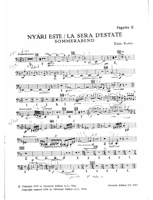 Bassoon 2