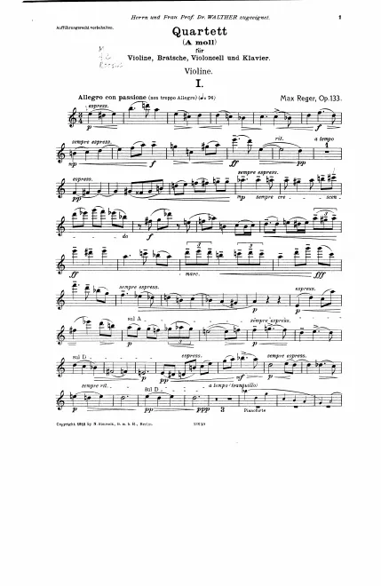 Violin