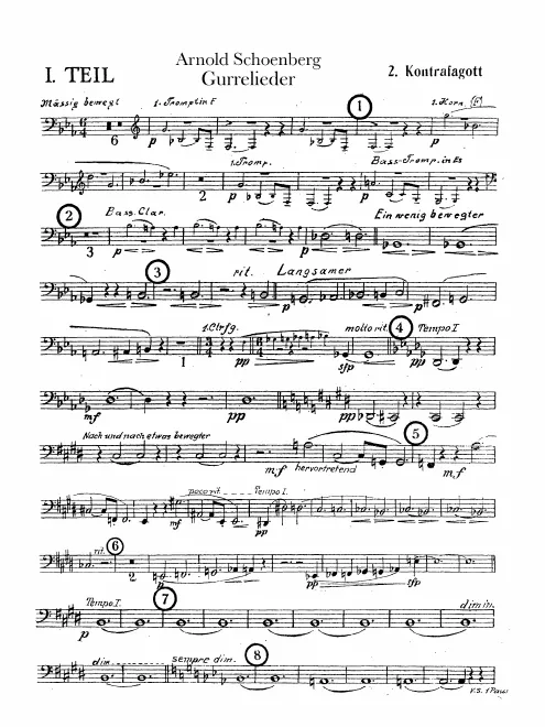 Contrabassoon 2