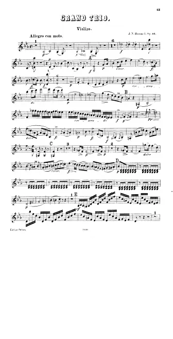 Violin