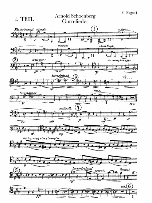 Bassoon 3