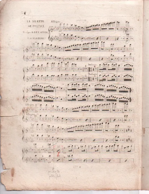 Flute 1/2, Piccolo