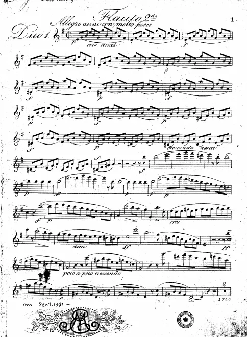 Flute 2